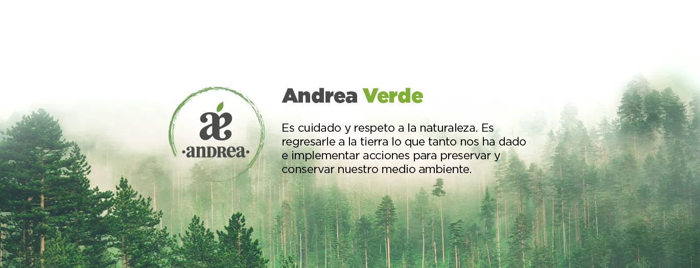Andrea Verde​